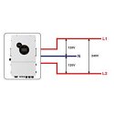 10kW Solar Storage Inverter SRNE-HESP48100U200-H