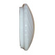 11 W L.E.D Ceiling Light Carisol-Surface Mount Integrated CL 11W S02 6500CT