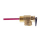 1-2 in Temperature and Pressure Relief Valve Carisol-WH -Plumbing TPV 1-2in 0.7MPA 90D