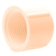 1/2 in. CPVC Threaded Cap 1/2 in. CPVC Threaded Cap