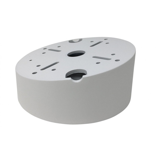 440g Inclined Ceiling Mount Hikvision-DS-1240ZJ
