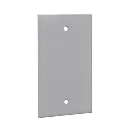 100 mm x 50 mm Handy Box Blank Cover Carisol-Electrical 4 x 2 PVC Blank Cover