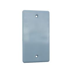 100 mm x 50 mm Handy Box Blank Cover Carisol-Electrical 4 x 2 PVC Blank Cover