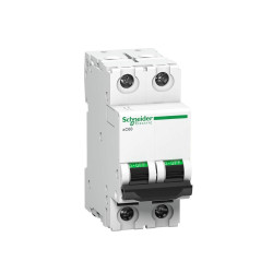 60 Amps Double Pole Breaker Schneider Electric-Electrical Plug In DPB60