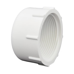 3/4 in PVC Threaded Cap