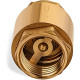 3/4 in Metal Check Valve Carisol-Plumbing 3-4 in. Metal Check Valve