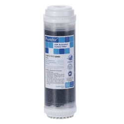 10 in. Inline GAC Filter GSW-M11-GT-WN